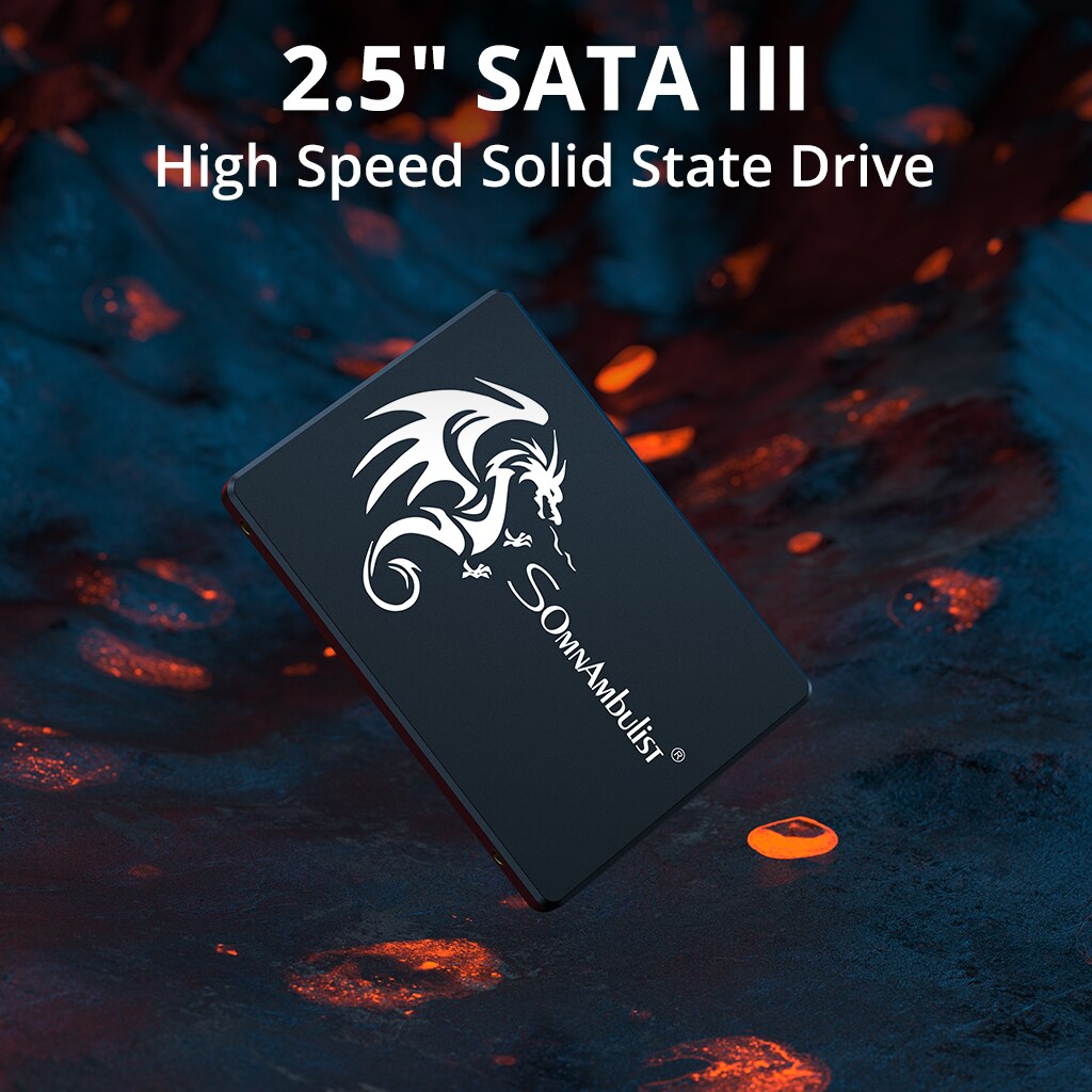 SomnAmbulist SSD 120GB 240GB 4 - Samsung Ssd Evo 870 리뷰 및 가격